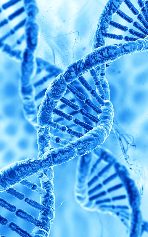 Anhua Bio、PDRN製品を発売：合成生物学で組織再生原料の世界的サプライチェーンを再構築